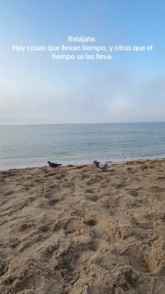 Post 3 by J E N N I F E R 👑 on TikTok (video)