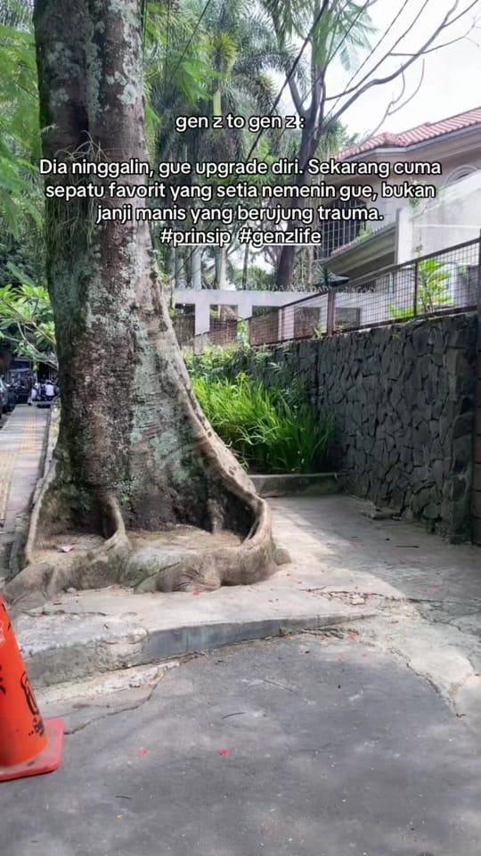 Post 6 by Johnson Indonesia on TikTok (video)
