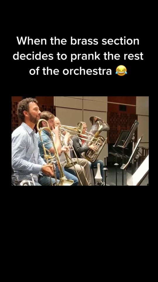 Post 10 by The Florida Orchestra on TikTok (video)