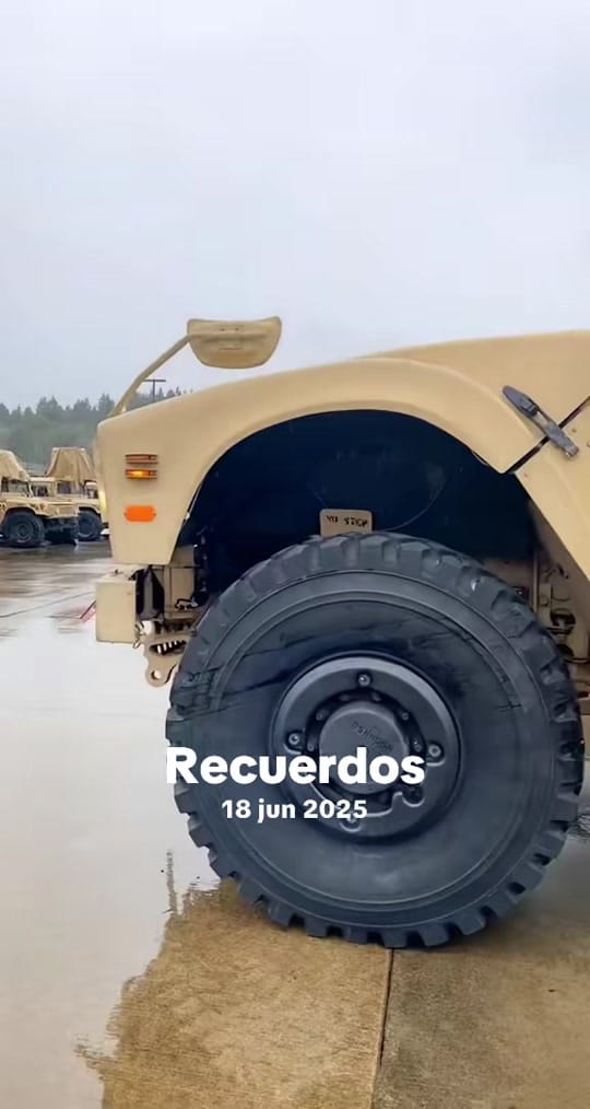 Post 2 by Patricia Elizabeth on TikTok (video)