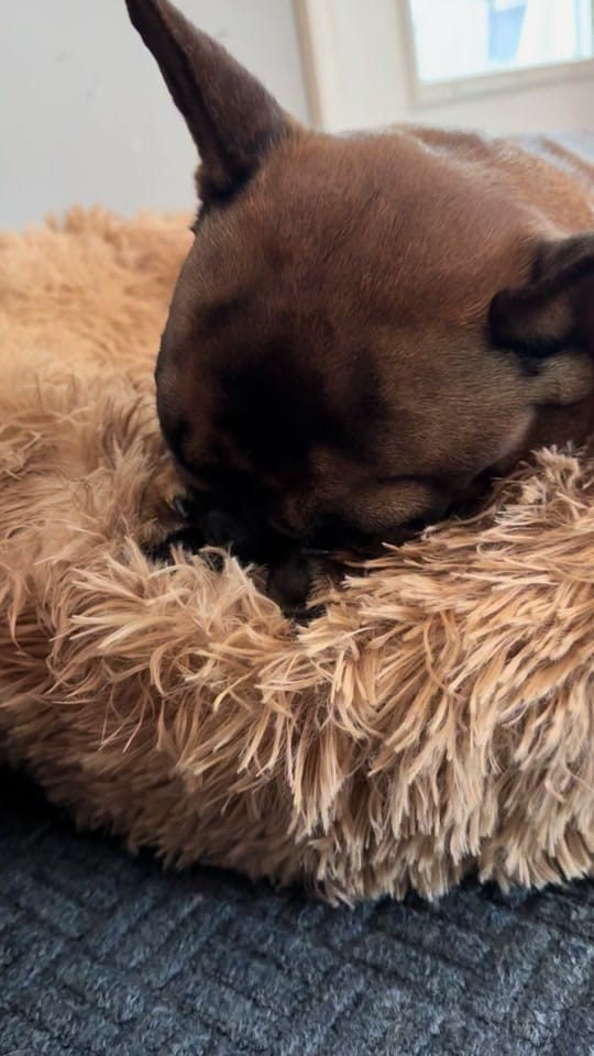 Post 1 by jamescohen906 on TikTok (video)