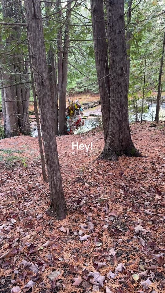 Post 6 by jamescohen906 on TikTok (video)