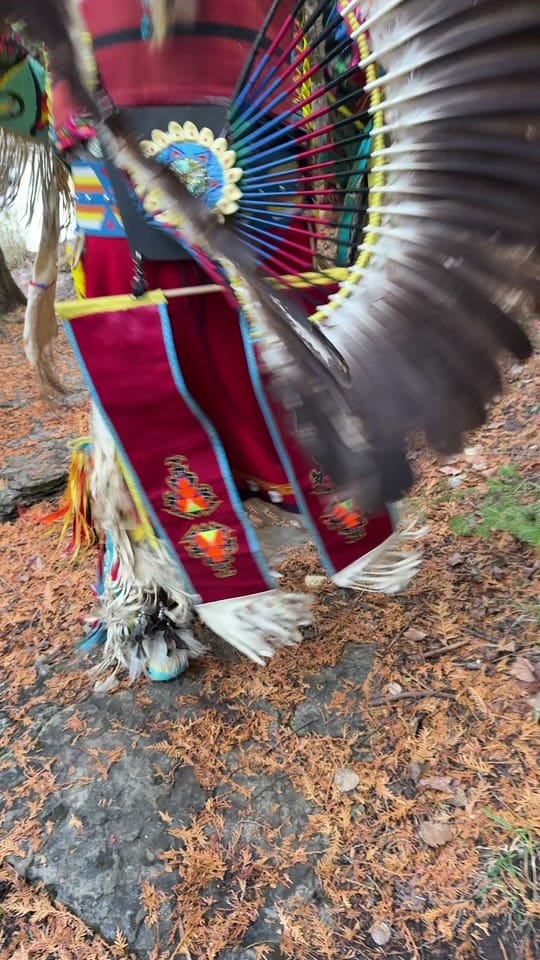 Post 4 by jamescohen906 on TikTok (video)