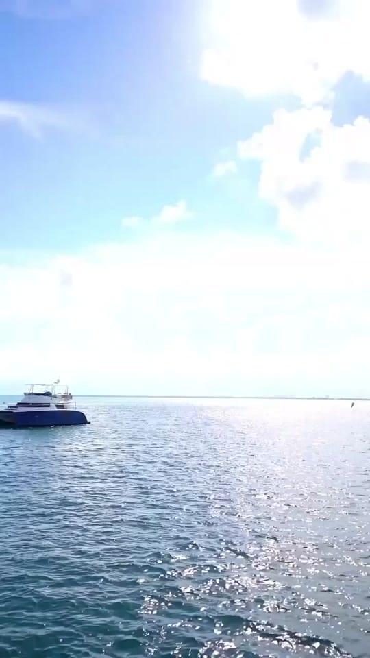 Post 8 by Djmarcodetroit on TikTok (video)