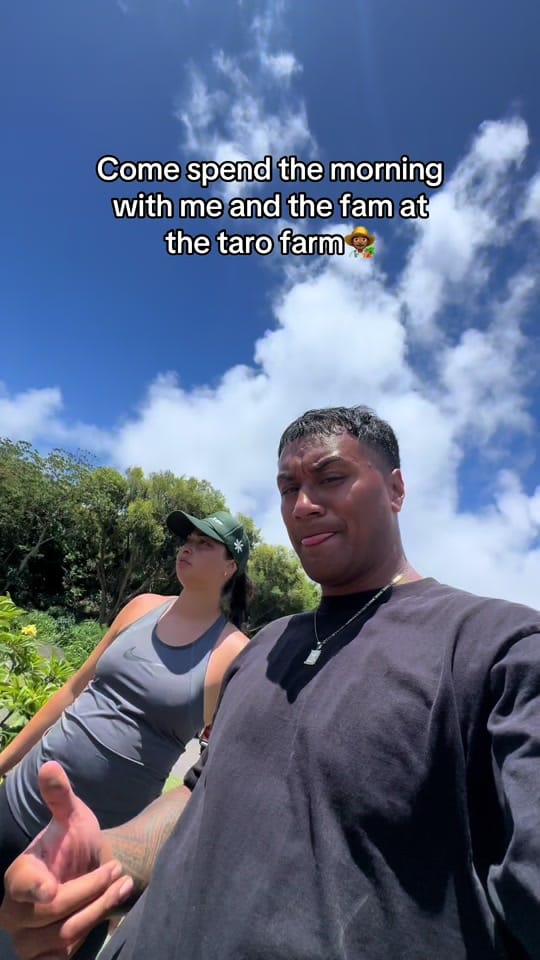 Post 3 by vmotuga on TikTok (video)
