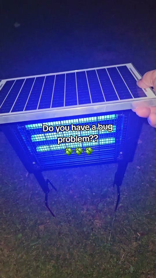 Post 8 by American Hillbilly on TikTok (video)
