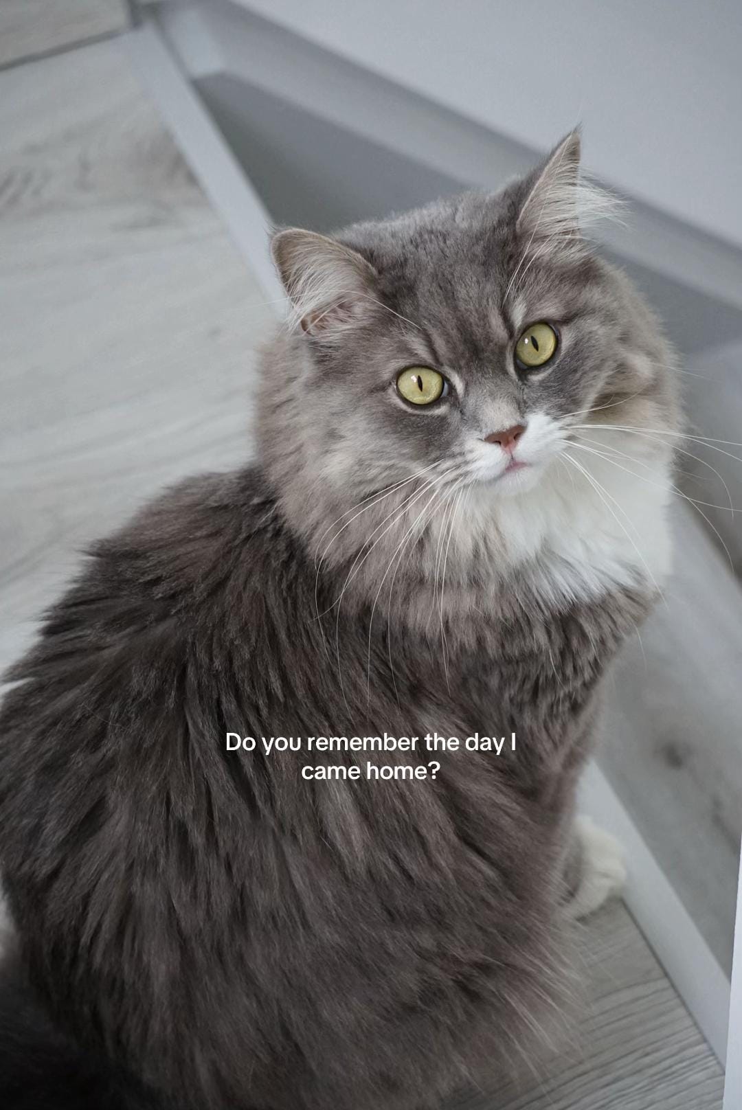 Post 1 by dieuberlis on TikTok (video)