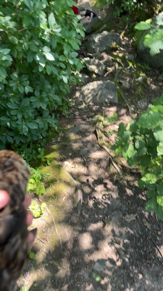 Post 4 by Tzillaaah on TikTok (video)