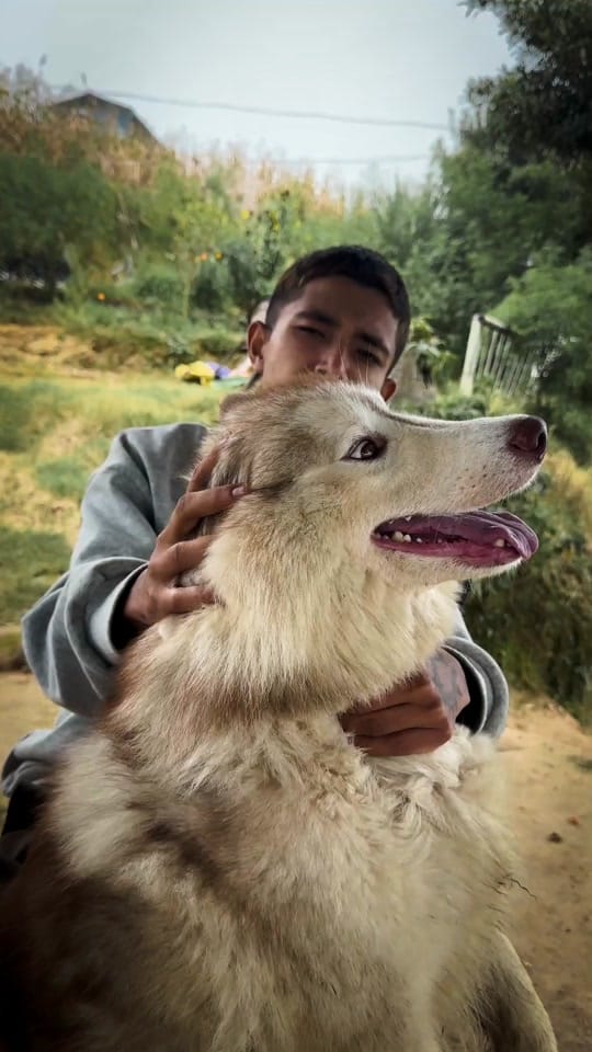 Post 10 by Saurav pun🤙 on TikTok (video)