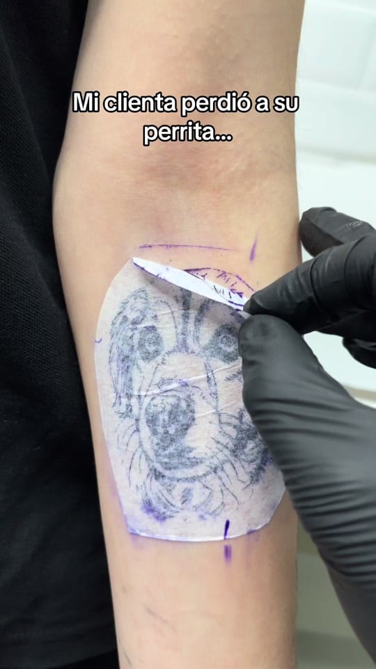 Post 10 by Roviitattoo on TikTok (video)