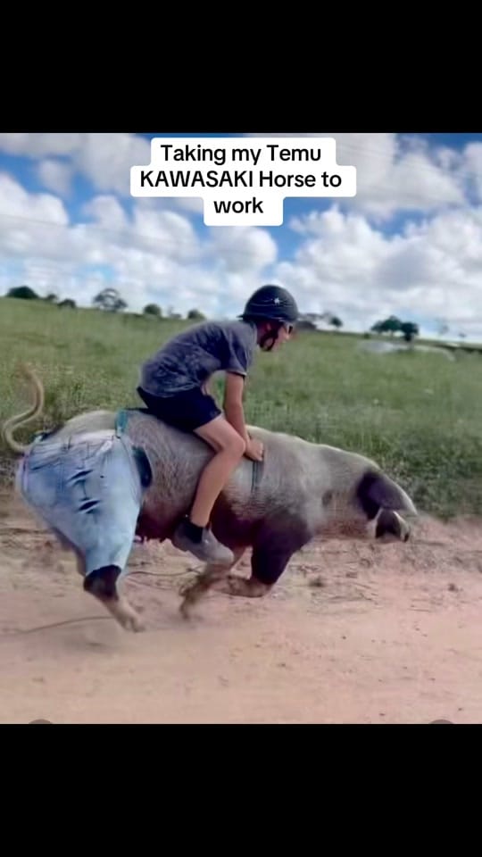Post 2 by DaveBrayUSA on TikTok (video)