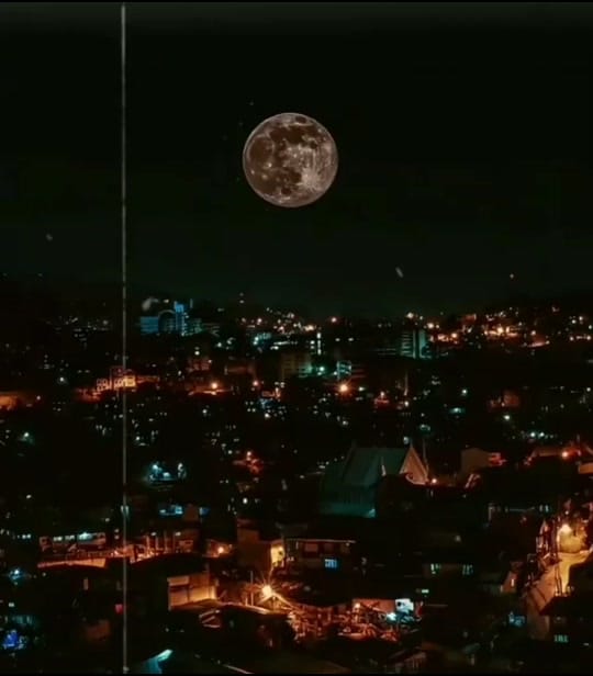 Post 10 by Sərxan Tərtərli🎙️ on TikTok (video)