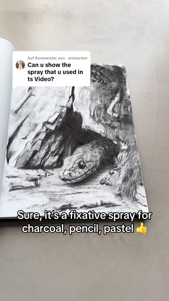 Post 2 by Wolli on TikTok (video)