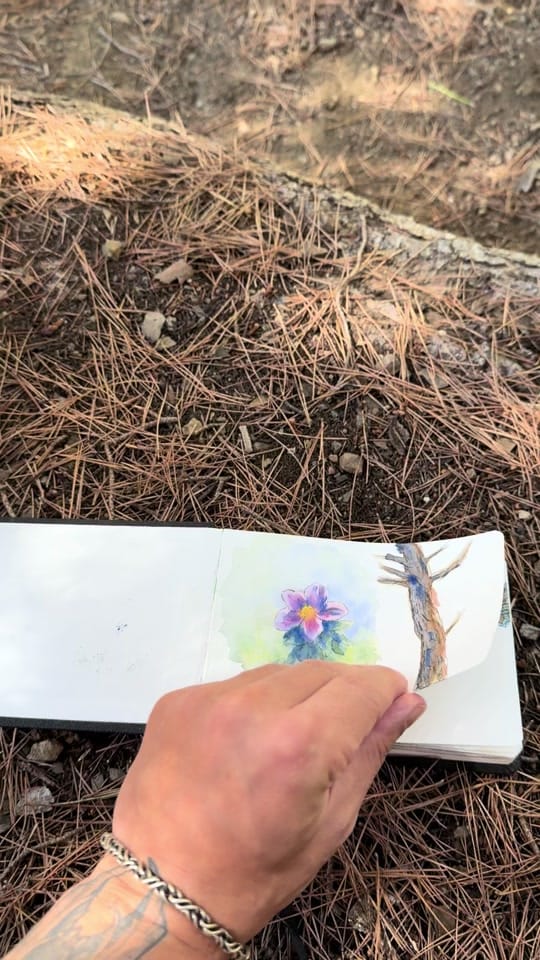 Post 5 by Wolli on TikTok (video)