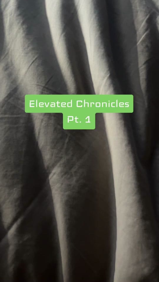 Post 1 by Stefanie 🦋 on TikTok (video)
