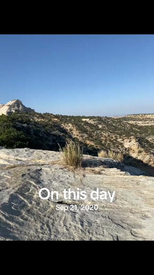 Post 6 by Stefanie 🦋 on TikTok (video)