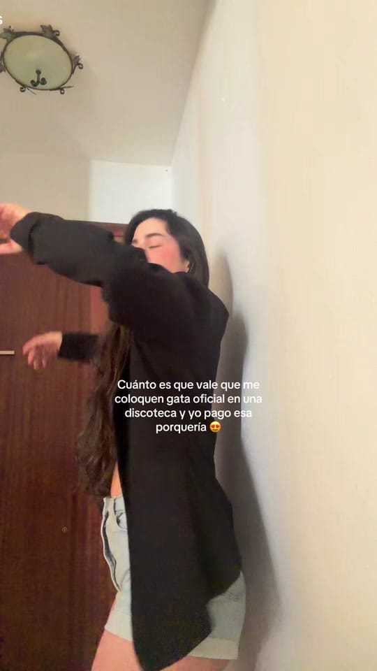 Post 6 by estefigomez on TikTok (video)