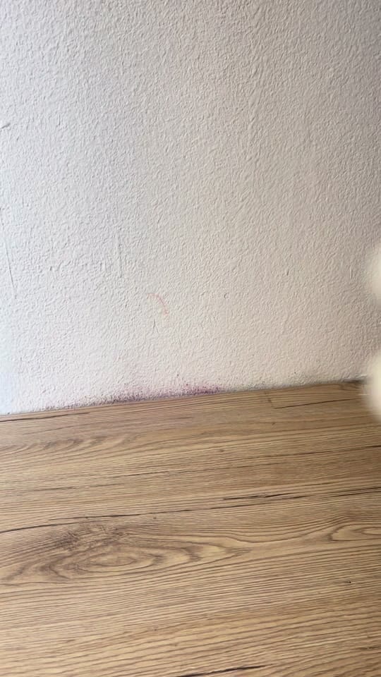 Post 6 by YonaRochel on TikTok (video)