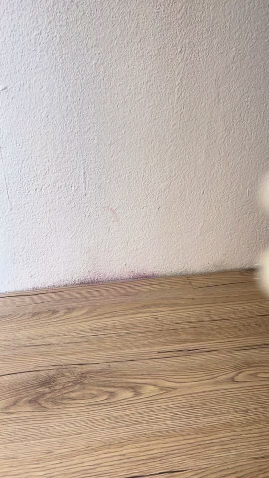Post 8 by YonaRochel on TikTok (video)