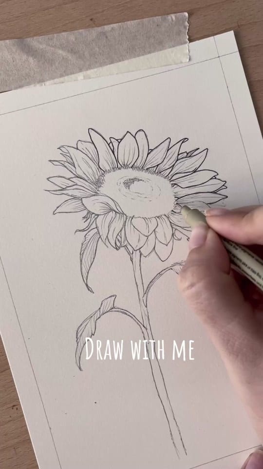 Post 8 by Rose Inks 🌹 on TikTok (video)
