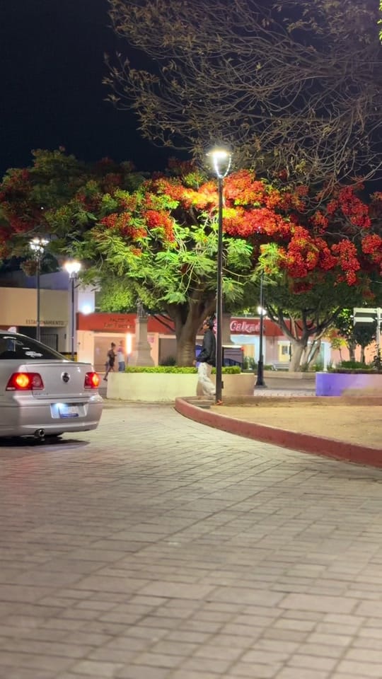Post 3 by el del jetta plata on TikTok (video)