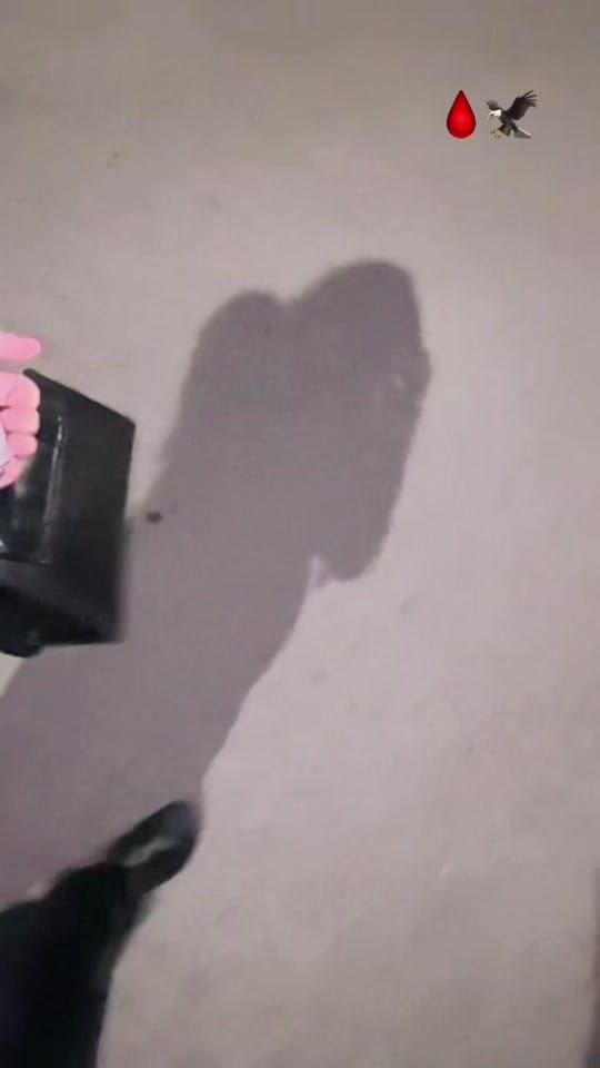 Post 3 by NOOR TATTOOZ 🇪🇸🦅 on TikTok (video)