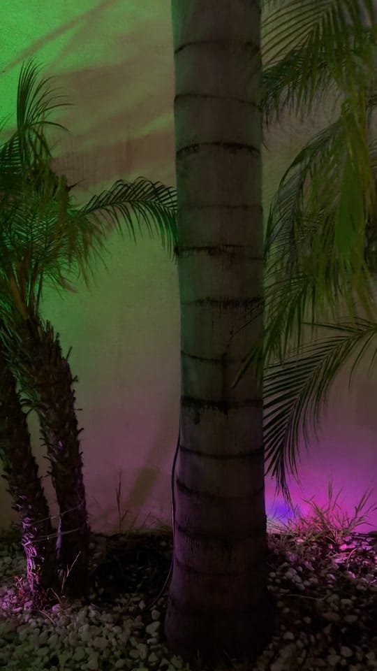 Post 5 by Banda La Lujosa on TikTok (video)