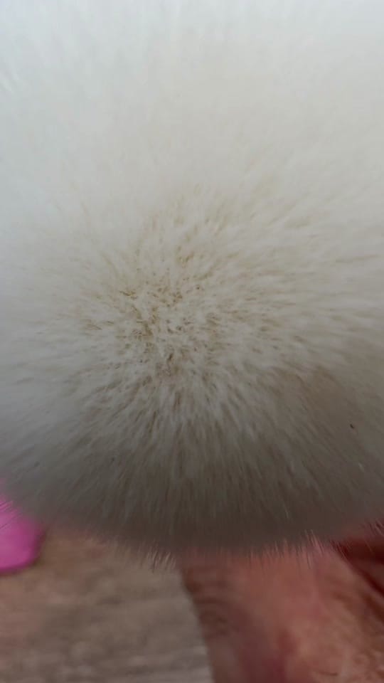 Post 1 by unstablegenius❌️ on TikTok (video)