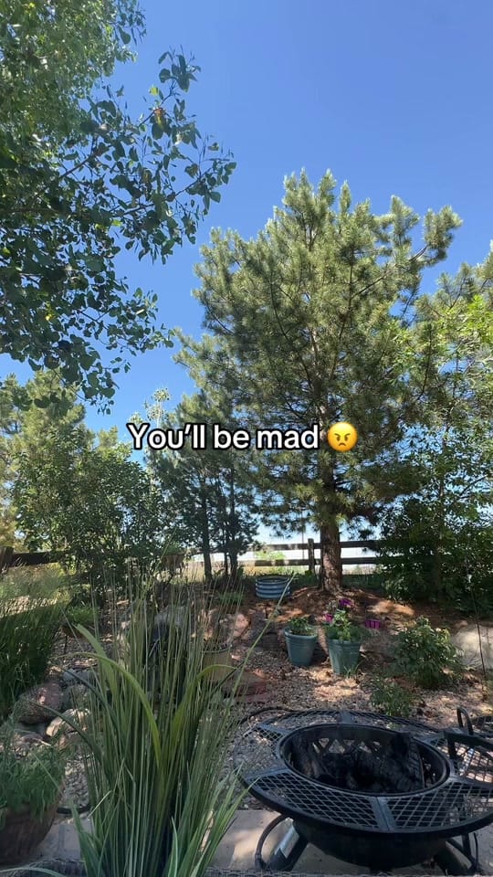 Post 6 by unstablegenius❌️ on TikTok (video)