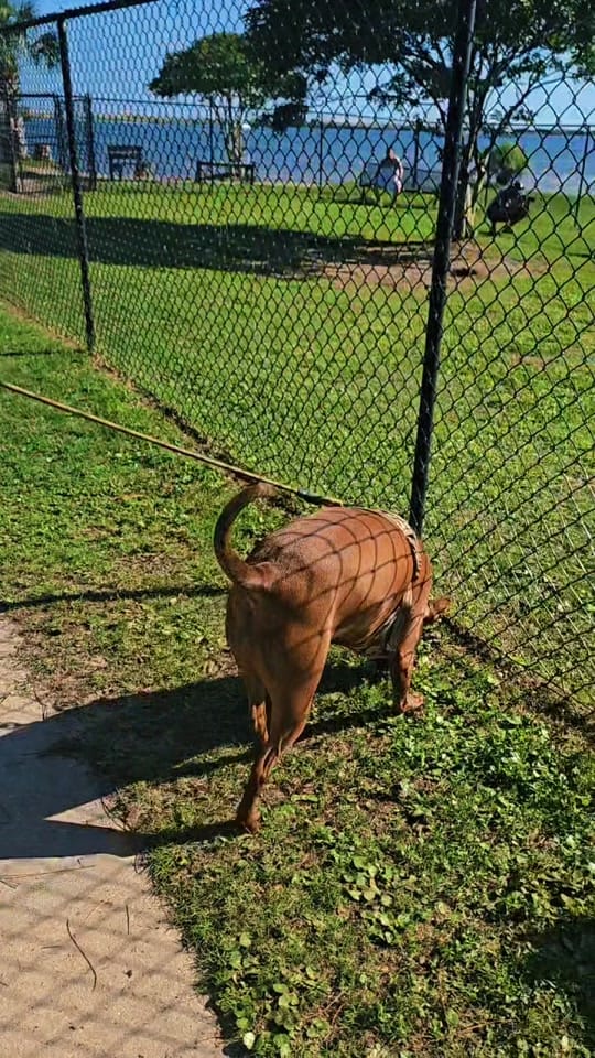 Post 1 by jasonkb8 on TikTok (video)