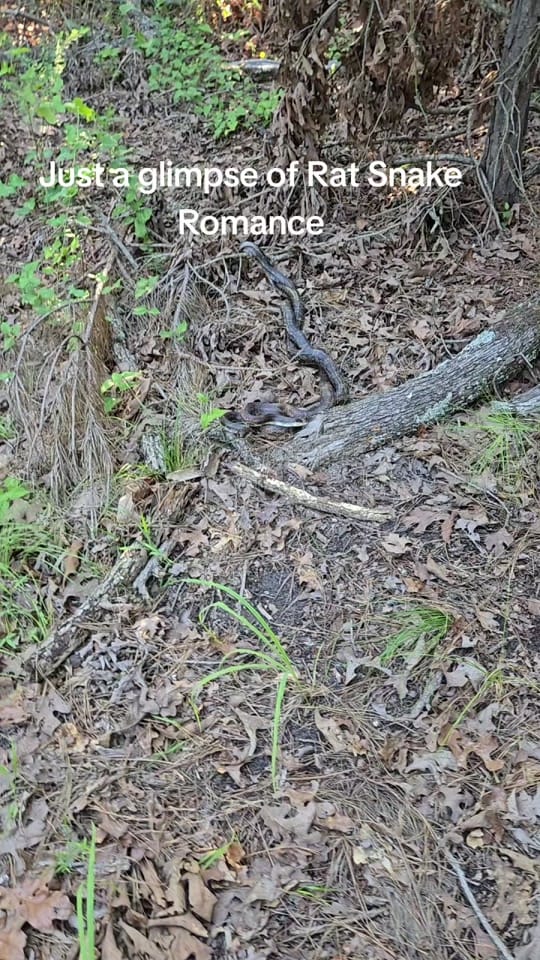 Post 3 by jasonkb8 on TikTok (video)