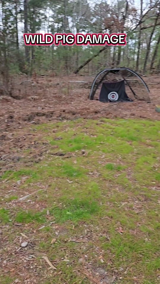 Post 5 by jasonkb8 on TikTok (video)