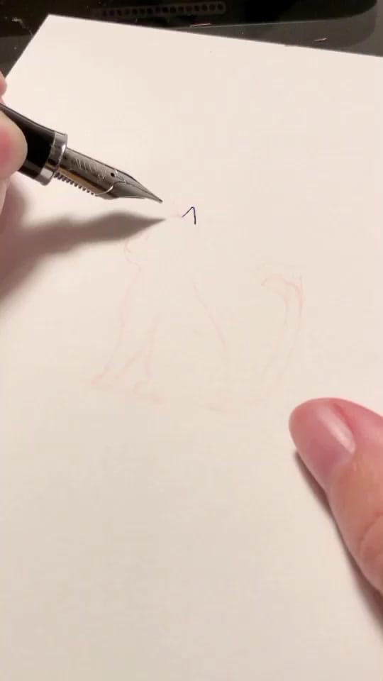 Post 9 by VIU on TikTok (video)