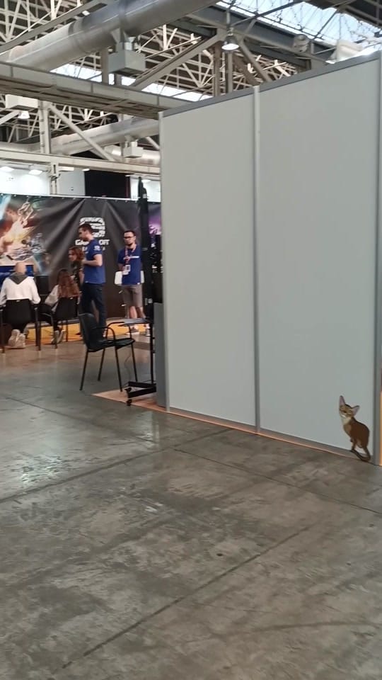 Post 6 by Mec (Pick•Chick 🐤) on TikTok (video)