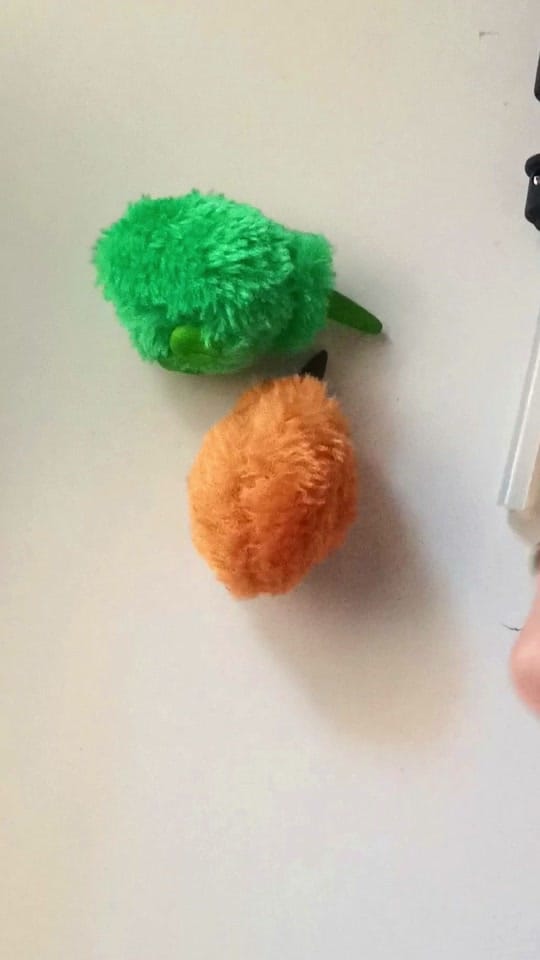 Post 5 by Mec (Pick•Chick 🐤) on TikTok (video)