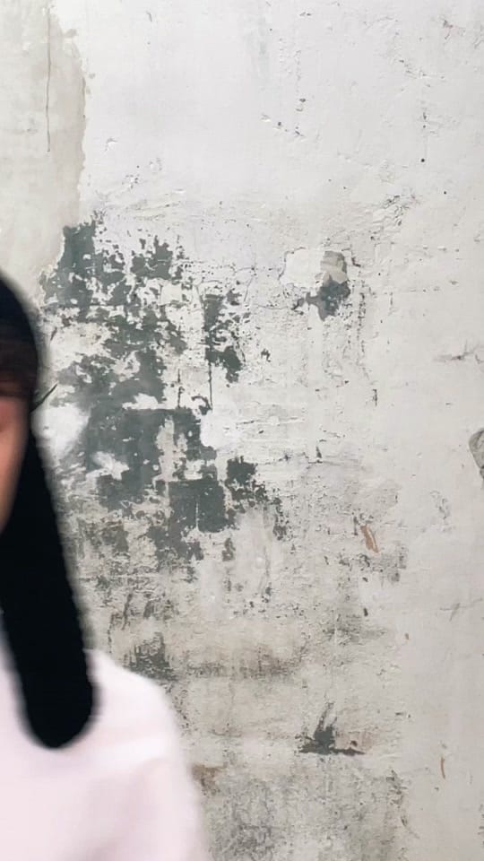 Post 8 by Alex on TikTok (video)
