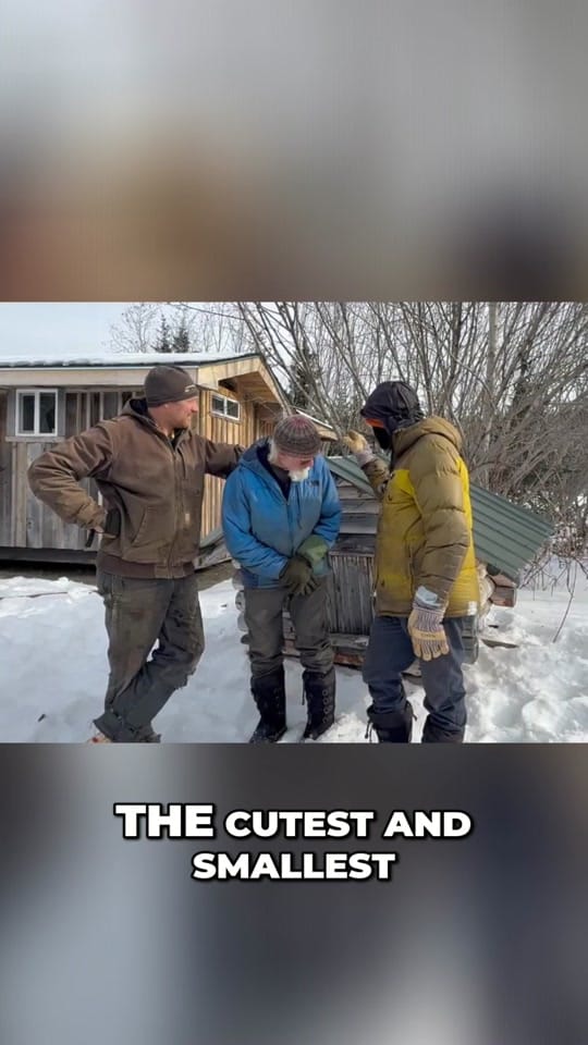 Post 8 by kilcherhomestead on TikTok (video)