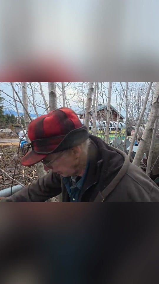 Post 5 by kilcherhomestead on TikTok (video)