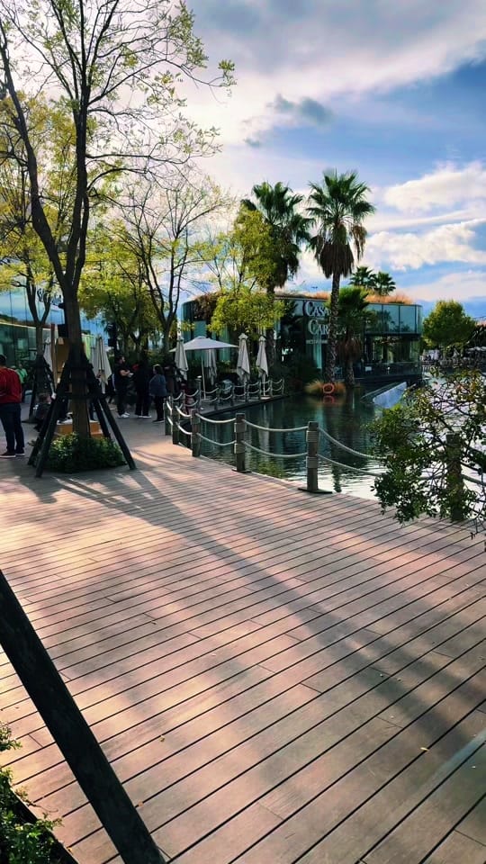 Post 5 by AlexandraVioletaArtist on TikTok (video)