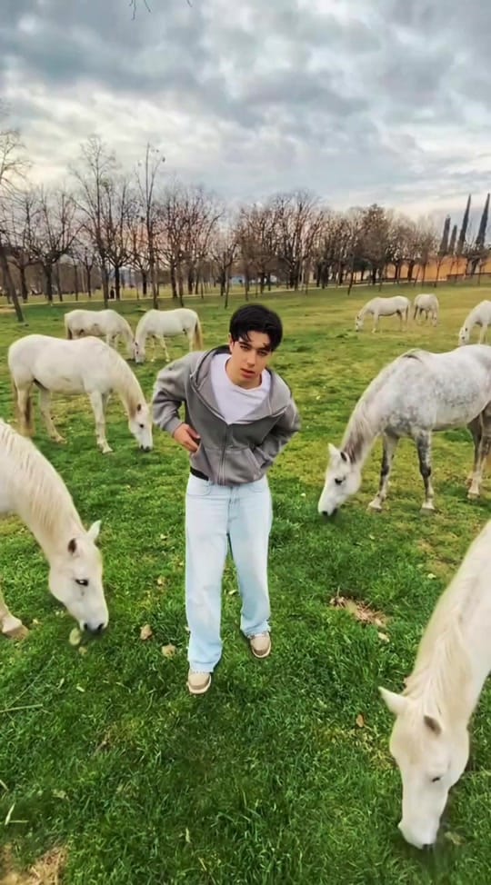 Post 5 by nexeoo on TikTok (video)