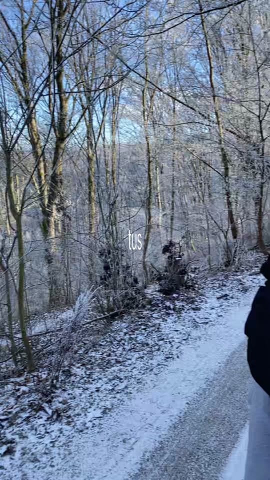 Post 8 by nexeoo on TikTok (video)