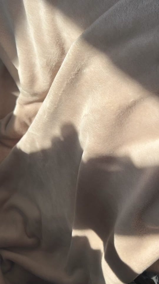 Post 5 by elisardgzz ★ on TikTok (video)