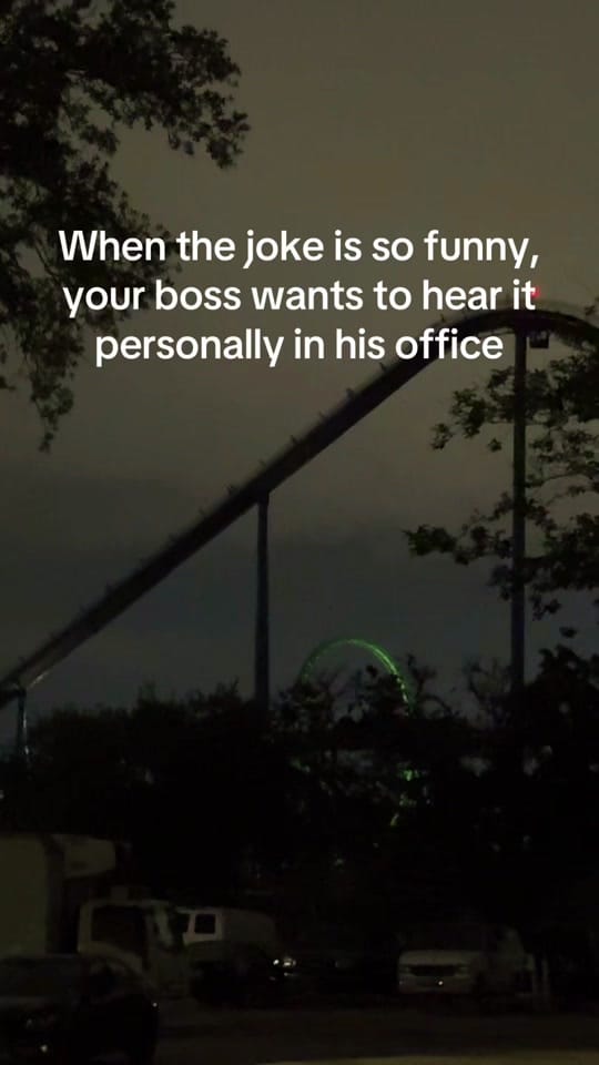Post 6 by Hollywood on TikTok (video)