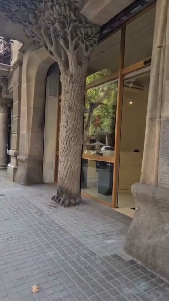 Post 10 by Barcelona Academy of Art on TikTok (video)
