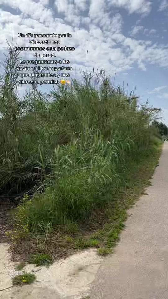 Post 8 by Dyca on TikTok (video)