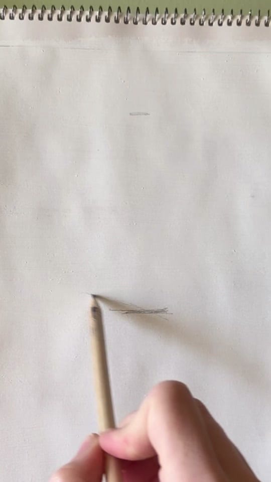 Post 5 by Liah 🎨 Ilustradora on TikTok (video)
