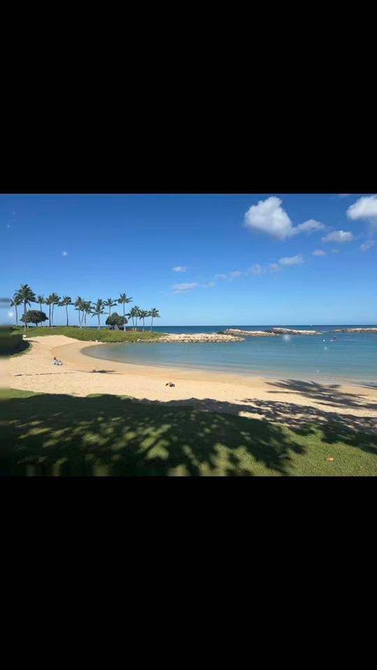 Post 1 by Ty Stonehawker on TikTok (video)