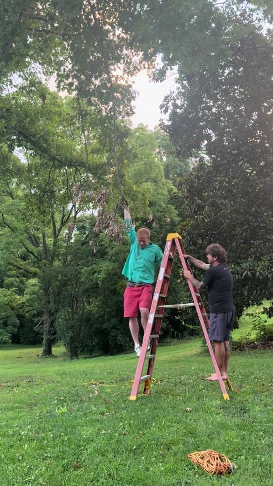 Post 2 by Ty Stonehawker on TikTok (video)