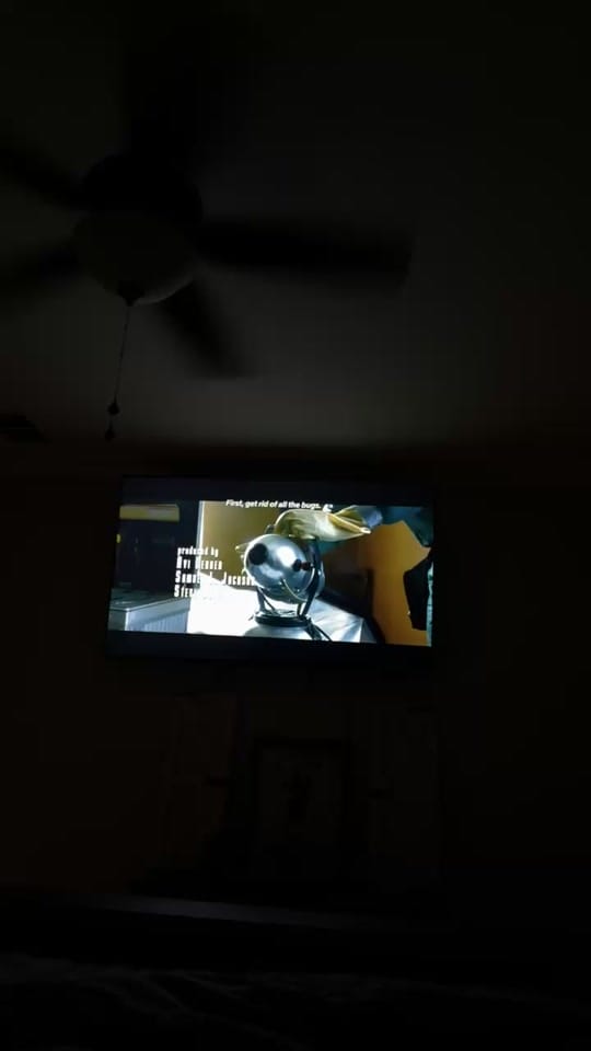 Post 4 by JAYNE WYK on TikTok (video)