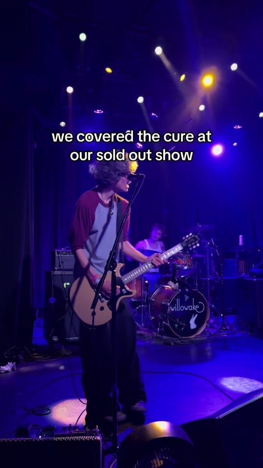 Post 6 by willowake on TikTok (video)